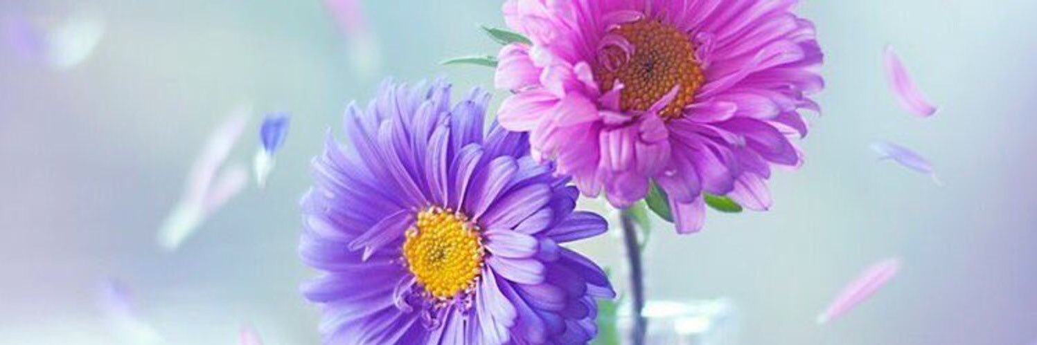 aljozza1's profile banner image