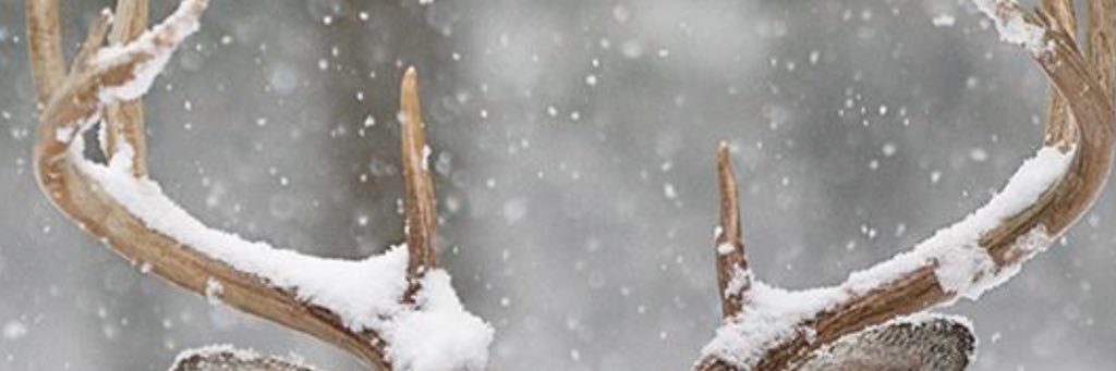 DeanBronowicz's profile banner image