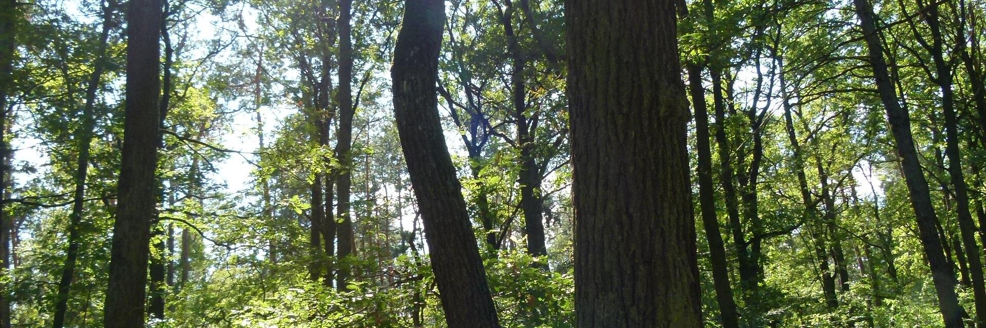 Vladek108's profile banner image