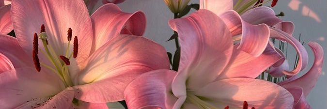 prettygaljayy_'s profile banner image