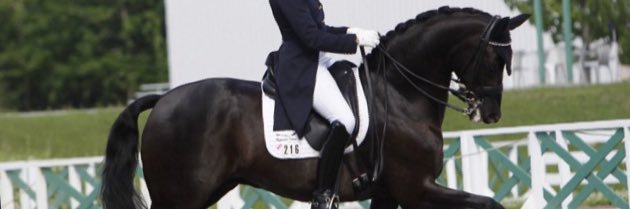 Theresa Brandt banner