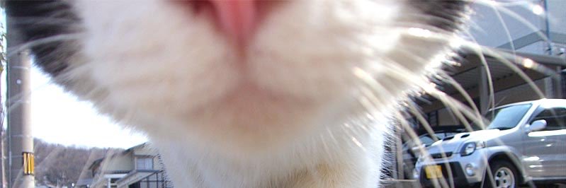 zeyneplafolle's profile banner image