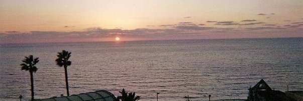 IStayFitForLife's profile banner image