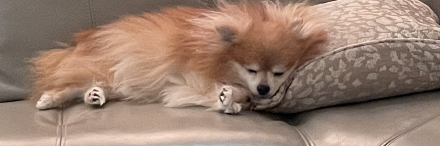 sharonlfriend's profile banner image