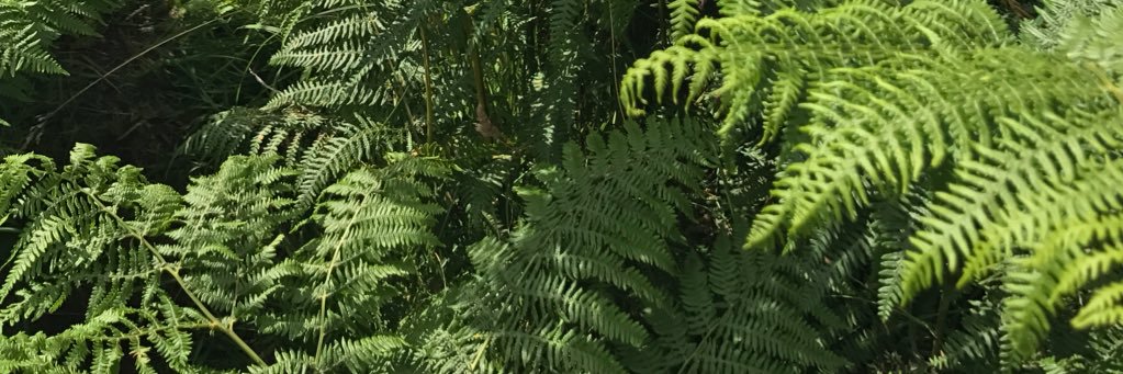 BethCulingford's profile banner image