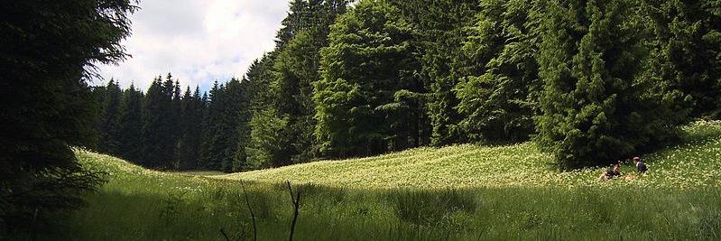 thefutureofart's profile banner image