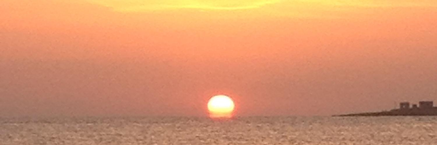 ronansul's profile banner image