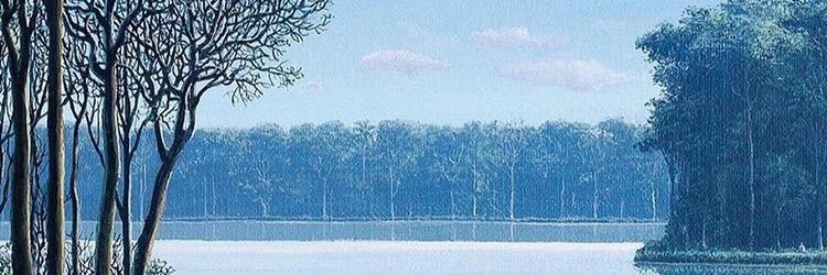 Calstewart14's profile banner image