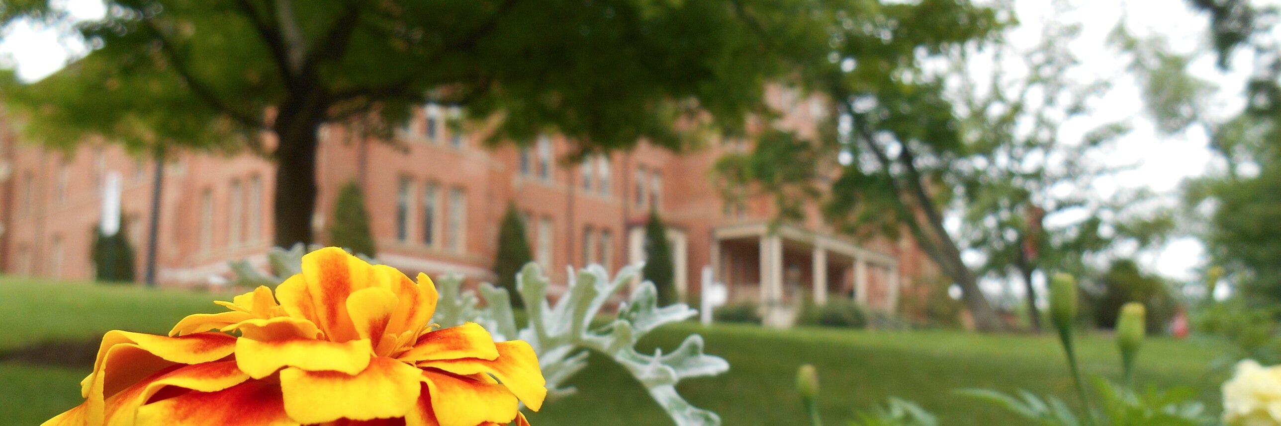 westernprogram's profile banner image
