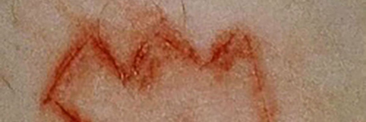 ZayVR's profile banner image