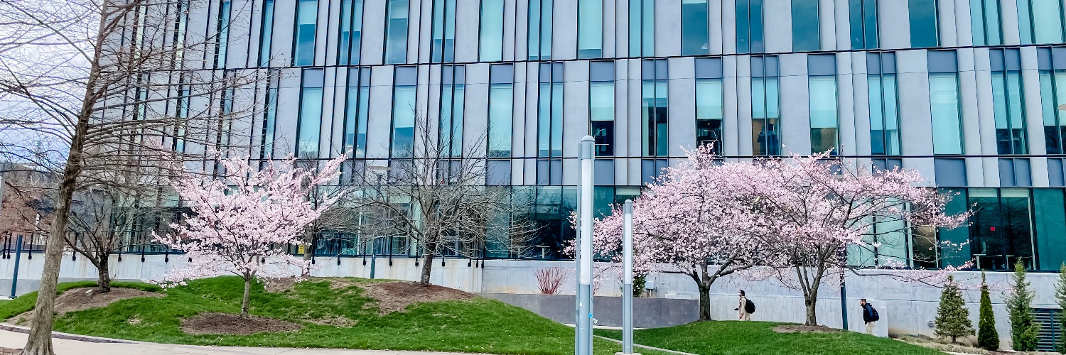 Lindner College of Business banner