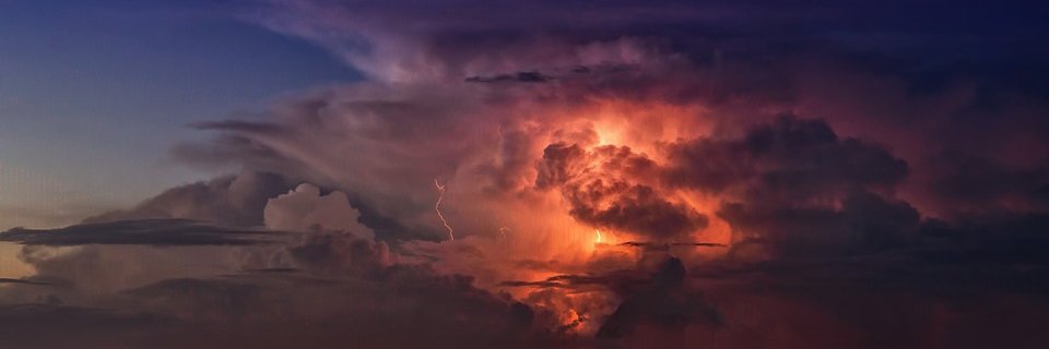 phyoral's profile banner image