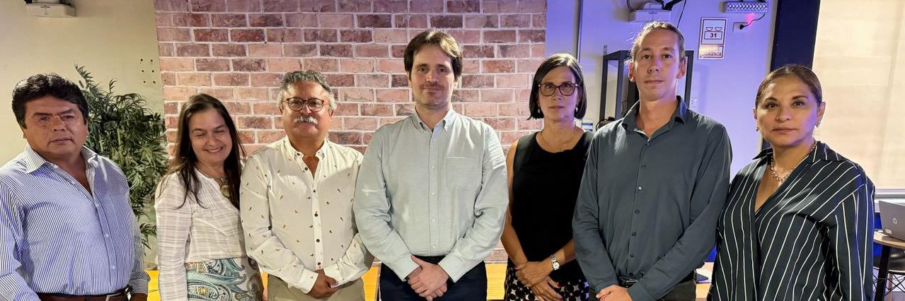 Manuel Boluarte banner