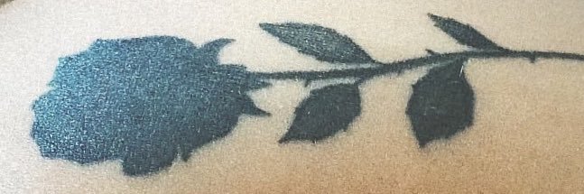 Nereea27's profile banner image