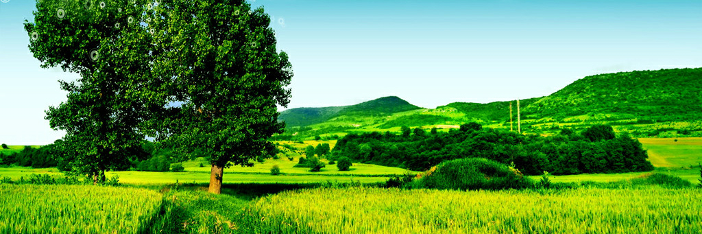 engr_Nonso's profile banner image