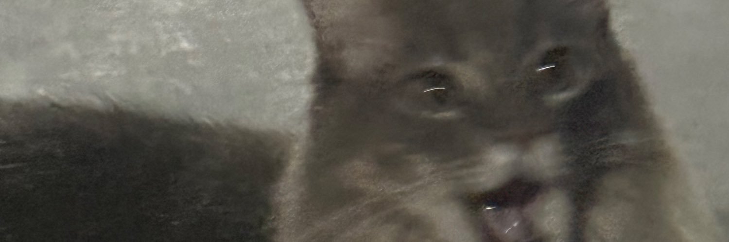 valentinamelana's profile banner image
