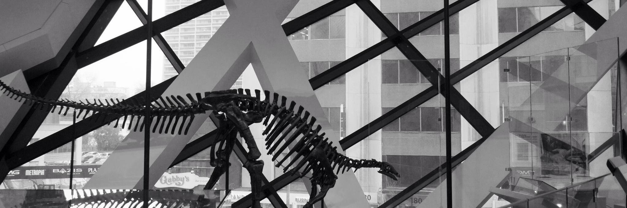 DavidLFeld's profile banner image
