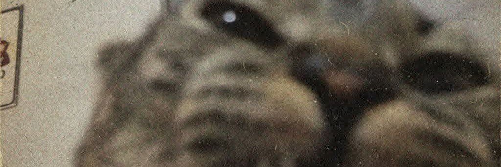 Dijo_Yerxus's profile banner image