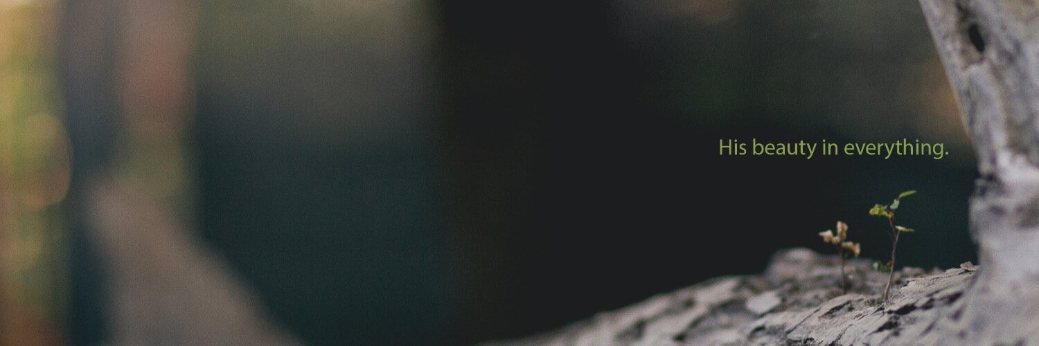 AdeGhilea's profile banner image