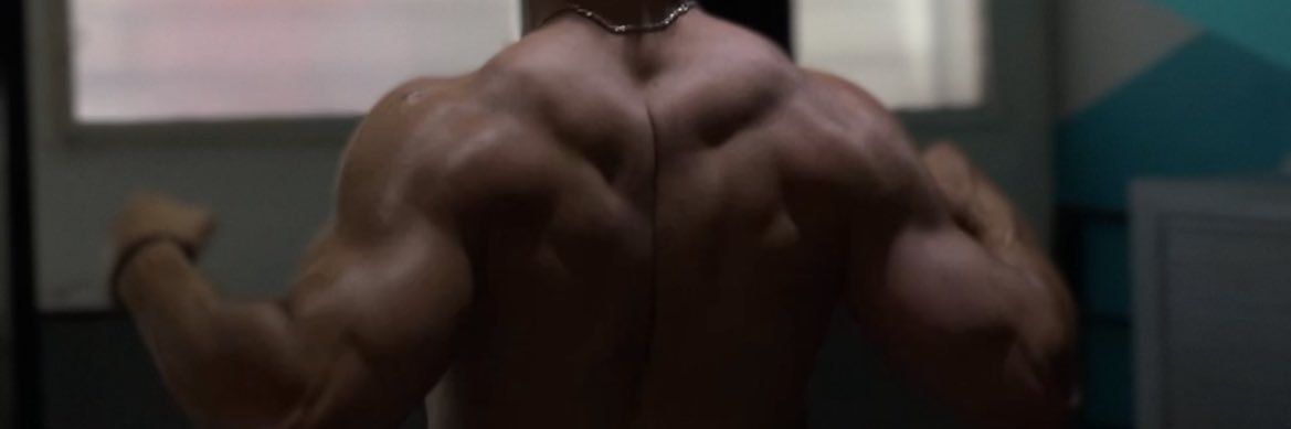 F_Bullentini's profile banner image