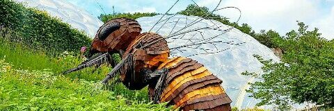 Cédric Niviere 🐝  soutien aux gilets jaunes banner