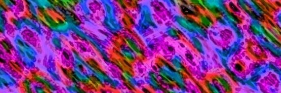 eaubee's profile banner image
