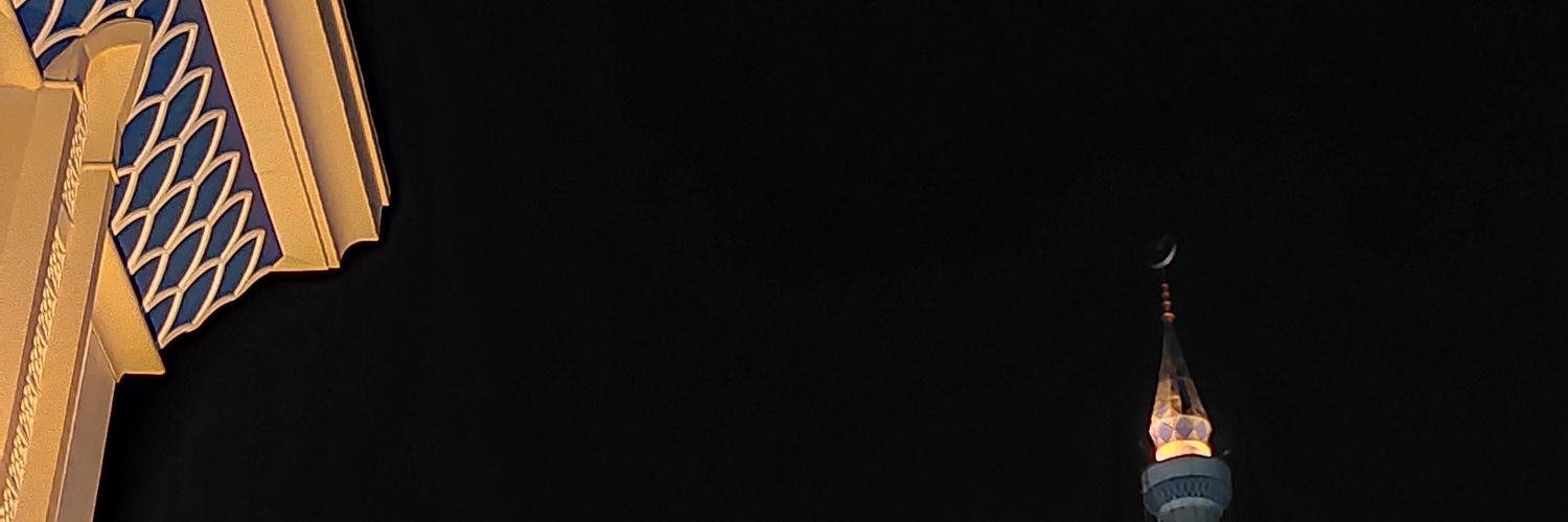 mirdelsf's profile banner image