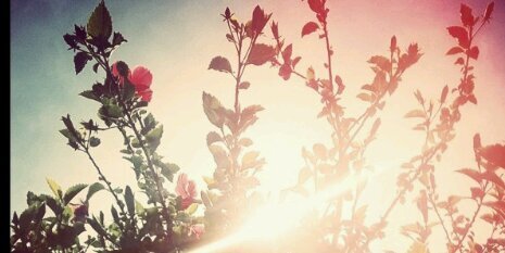 garni78's profile banner image
