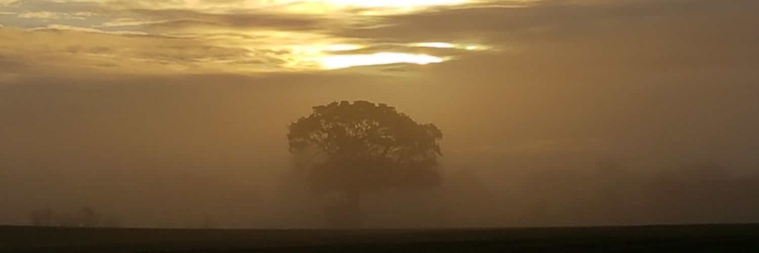 AlbChristensen's profile banner image
