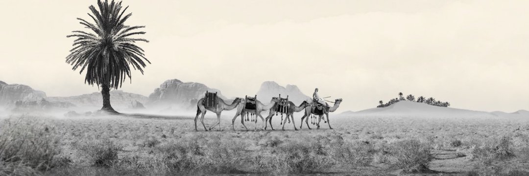 Ťùŕķί🔰 banner