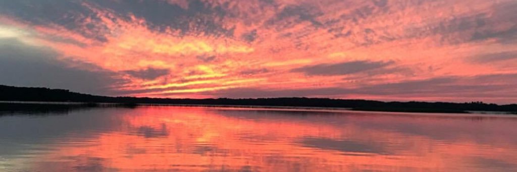 SaraDanzinger's profile banner image