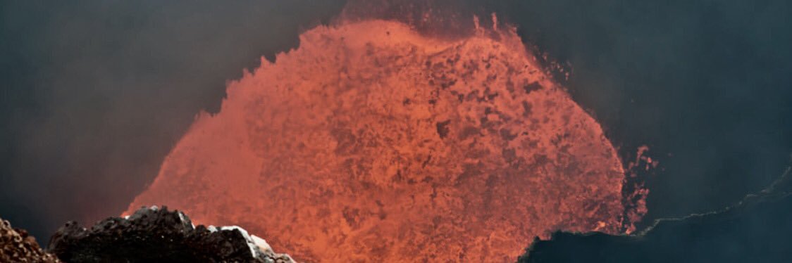 Nadine Casatelli banner