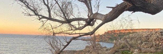 Edgarzemedu's profile banner image
