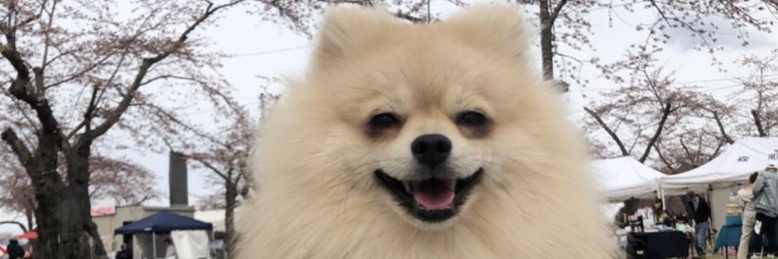 hicyun09's profile banner image