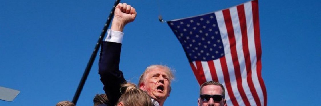 Debbie Dooley's banner