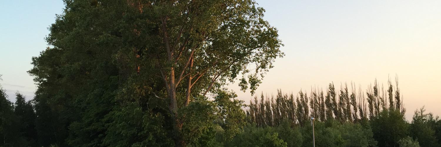 PiotrTweets's profile banner image