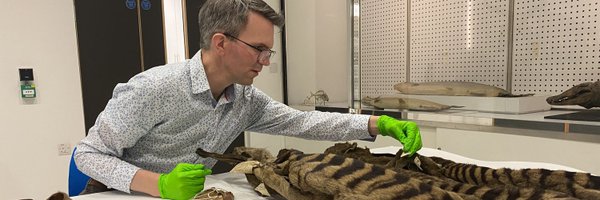 JackDAshby Profile Banner