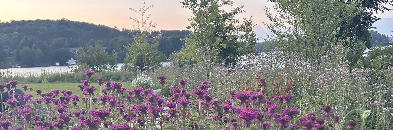 Jennifer Davis banner