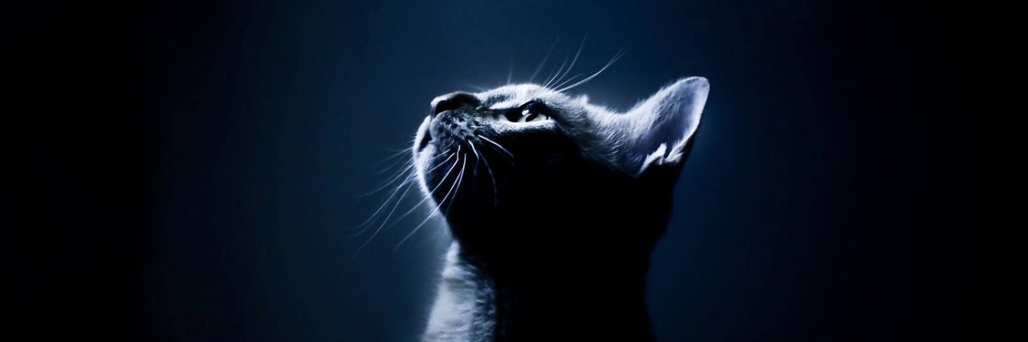 6degreesofH's profile banner image