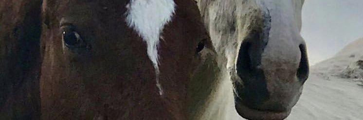 arturo jauretche banner