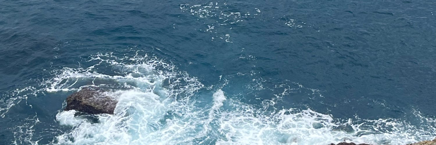 lauraiscar's profile banner image