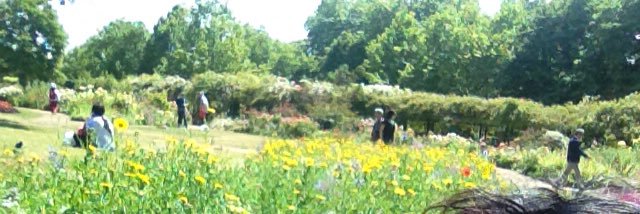 coolmama0405's profile banner image
