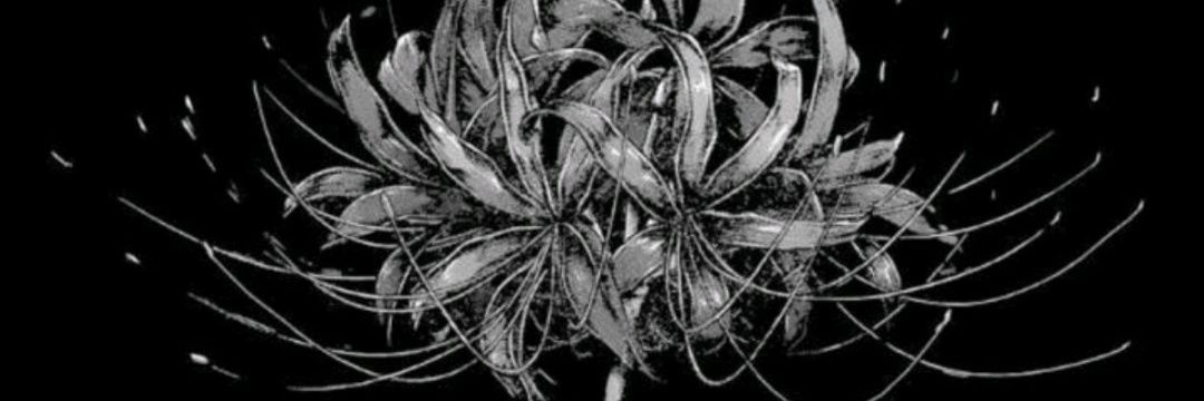 inditgo's profile banner image