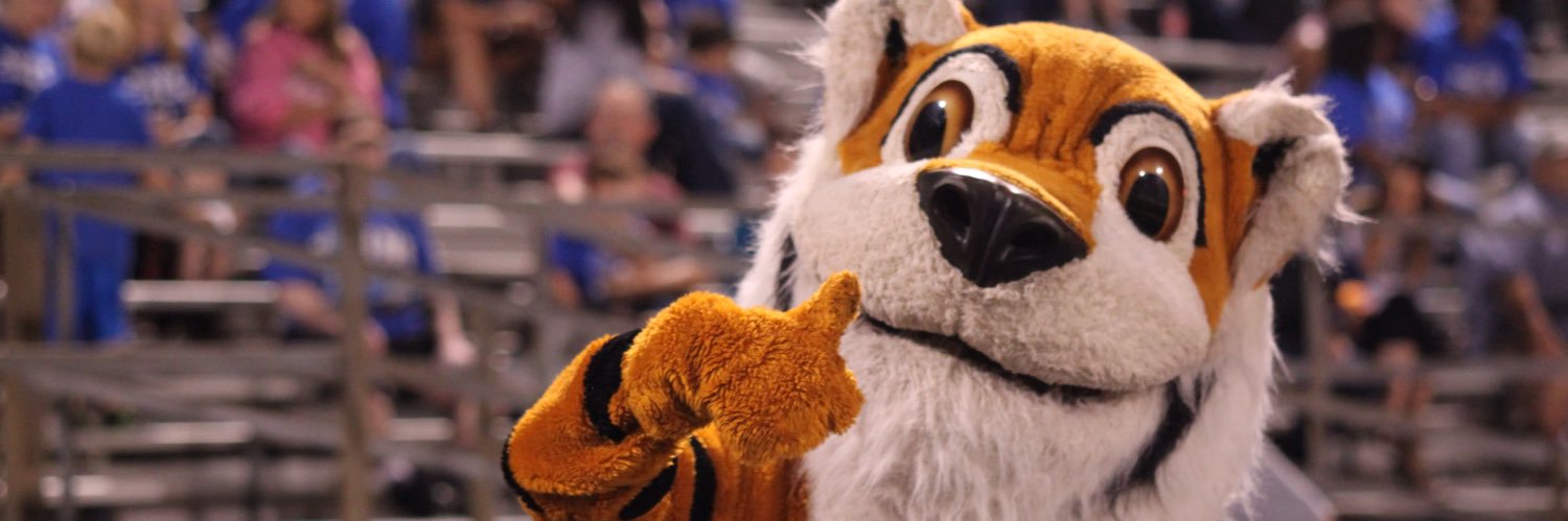 dlsisd's profile banner image