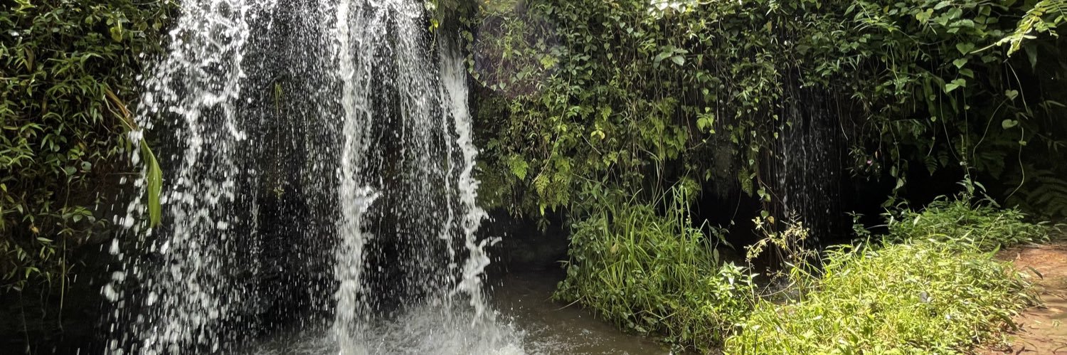 MerjaMttnen's profile banner image