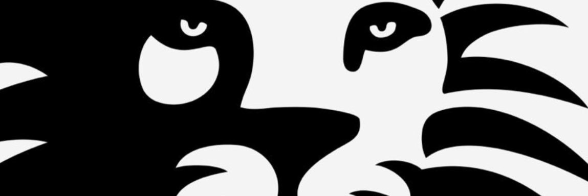 BFBaos's profile banner image