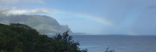 ibgecko's profile banner image