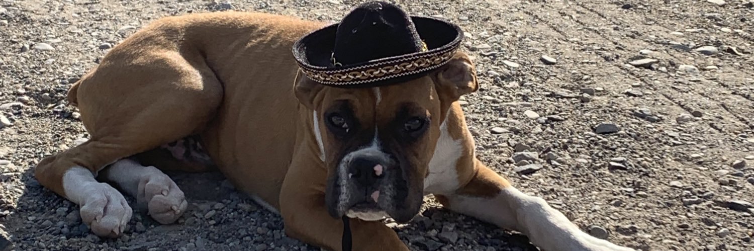 noltard's profile banner image