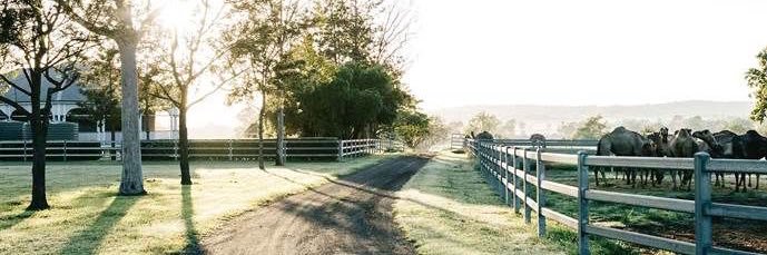 DeanCalysta14's profile banner image