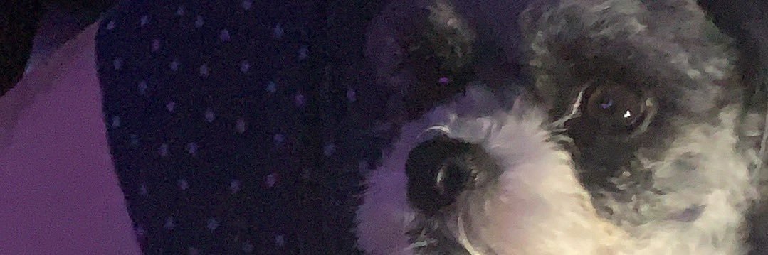 BiohazardDani's profile banner image